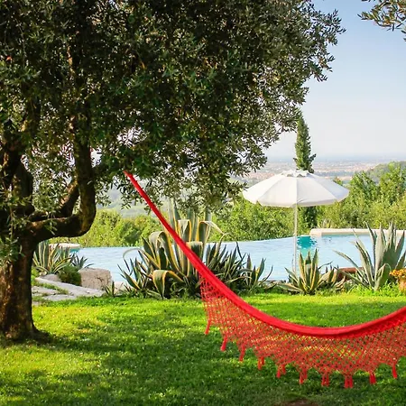 Bed and breakfast Le Agavi *