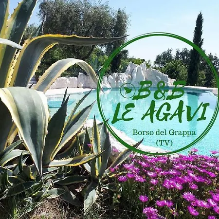 Bed & Breakfast Le Agavi Borso del Grappa